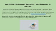 Key Differences Between Magnesium and Magnesium L-Threonate?