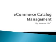 eCommerce Catalog management - Anzael LLC
