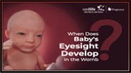When Does Baby’s Eyesight Develop In The Womb?