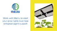Professional Grow Lighting Solutions For Wholesale