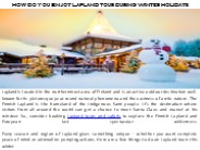 How Do You Enjoy Lapland Tour During Winter Holidays?