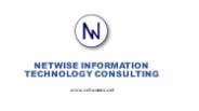 Netwise Information Technology Consulting - Business Technology