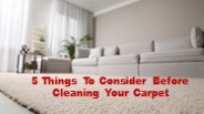 5 Things To Consider Before Cleaning Your Carpet