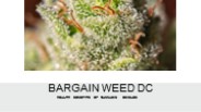 Find The Best Cannabis Delivery Service With Us