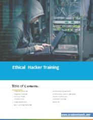 ethical hacking training from scodenetwork