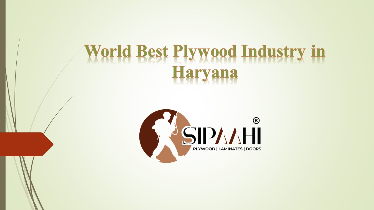 Best Plywood Industry in Haryana
