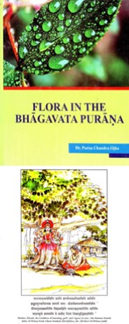Books On Hindu Mythology And Puranas