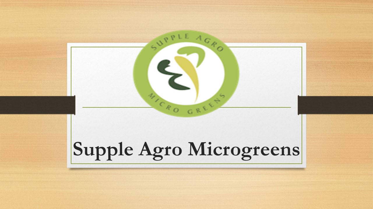 Buy organic Fruit and Vegetables at Reasonable price