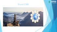 Travel CMS