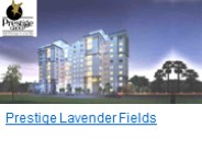 Prestige Lavender Fields (1)