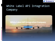 White Label API Integration Company (2)