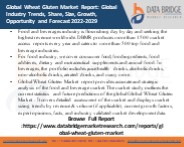 Wheat Gluten Market Research Report 2022