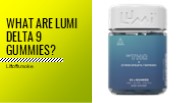 Lumi Delta 9 Gummies