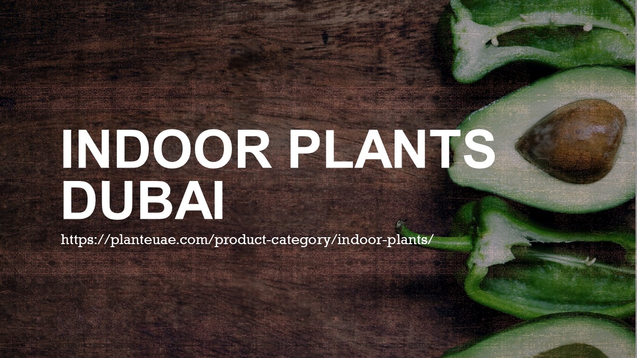 PPT Indoor Plants Dubai PowerPoint presentation free to download