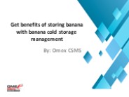 Banana cold storage management - Omex CSMS