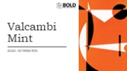 Valcambi Mint | BOLD Precious Metals