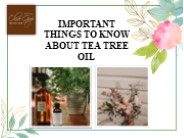 IMPORTANT THINGS TO KNOW ABOUT TEA TREE OIL