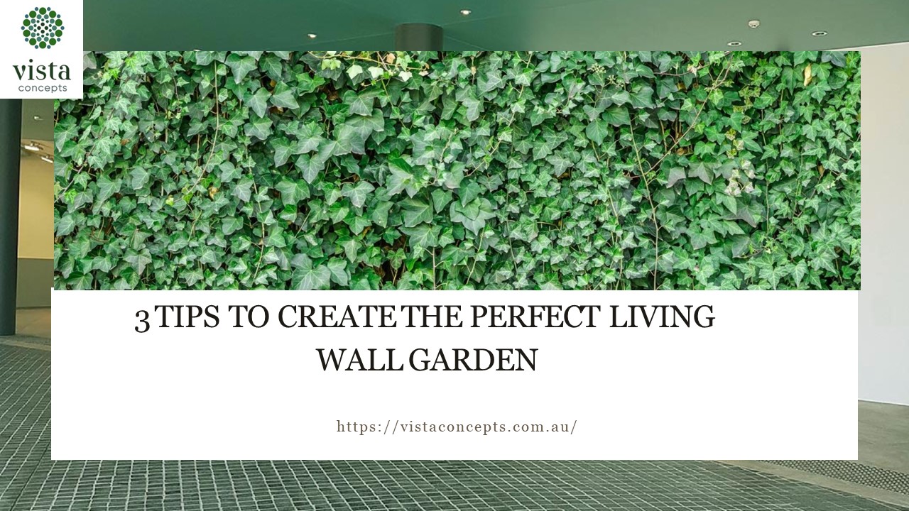 3 Tips To Create The Perfect Living Wall Garden
