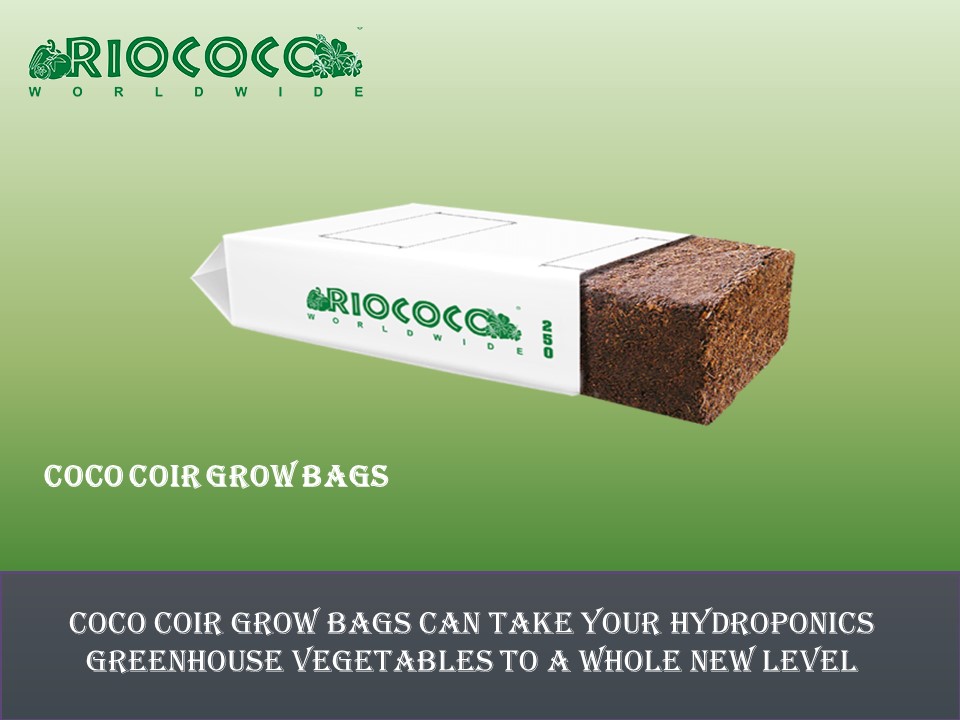 PPT Coco Coir Grow Bags Can Take Your Hydroponics Greenhouse