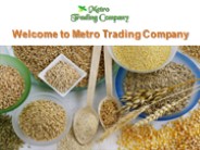 Organic Seeds Manufacturer