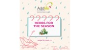 Herbs For Rainy Season