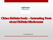China Shiitake Seeds – Interesting Facts about Shiitake Mushrooms