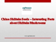 China Shiitake Seeds – Interesting Facts about Shiitake Mushrooms PowerPoint PPT Presentation