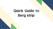 Quick Guide to Berg strip