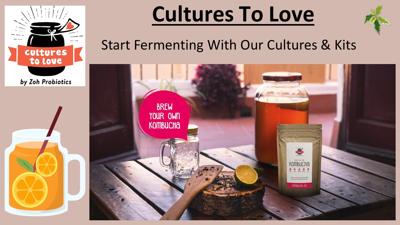 Cultures To Love Offers The Best Healthy Greek Yogurt Culture Starter