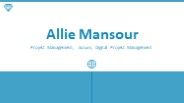 Allie Mansour - Provides Consultation in Leadership