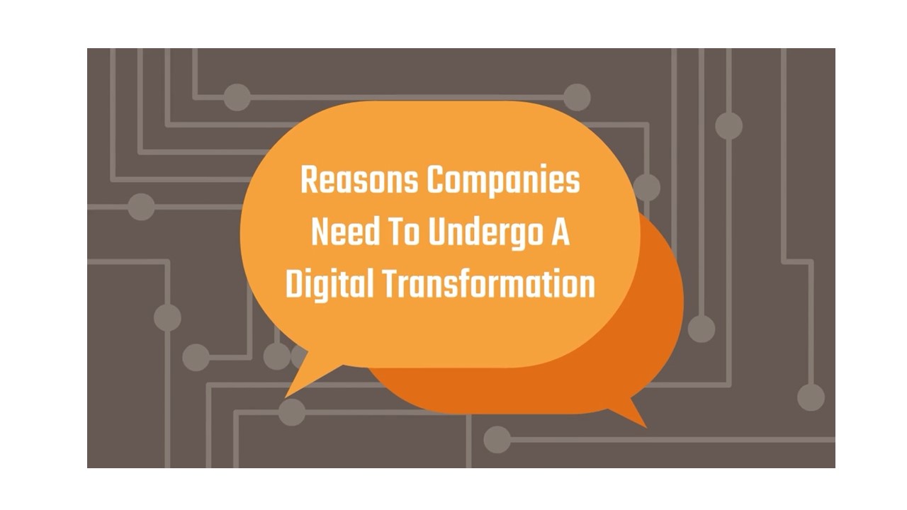 Reasons Companies Need To Undergo A Digital Transformation