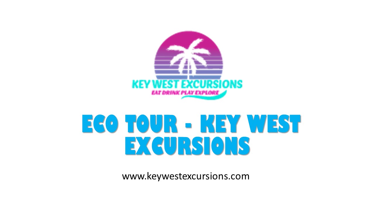 Eco Tour - Key West Excursions