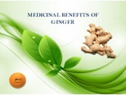MEDICINAL BENEFITS OF GINGER