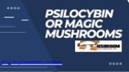 Psilocybin or Magic Mushrooms