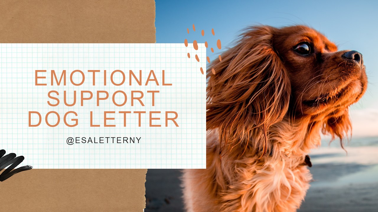 PPT Emotional Support Dog Letter PowerPoint presentation free to download id 95831fZTlhN