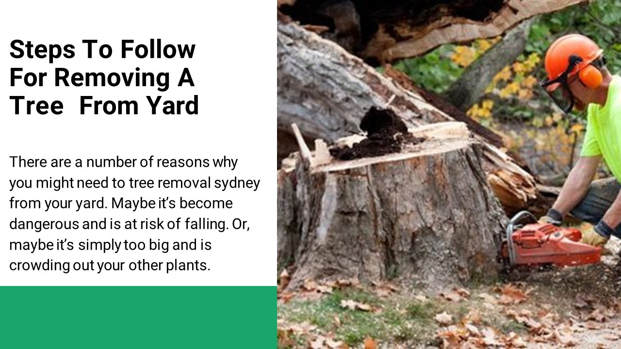 Steps To Follow For Removing A Tree From Yard presentation | free to ...