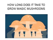 How long does it take to grow Magic Mushrooms ?