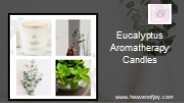 Eucalyptus Aromatherapy Candles (1)