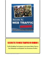 Secrets to Web Traffic