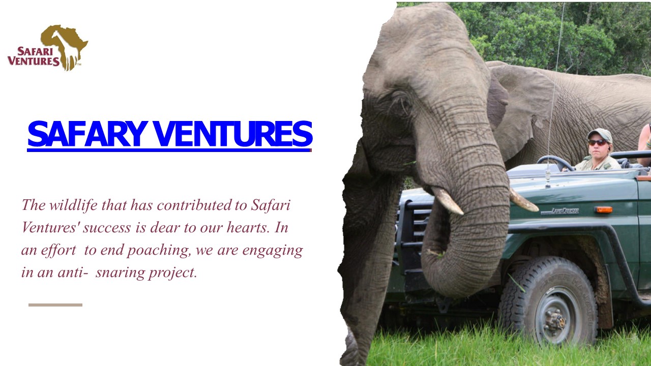 African Safari Adventure Tours & Packages