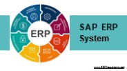 SAP ERP System