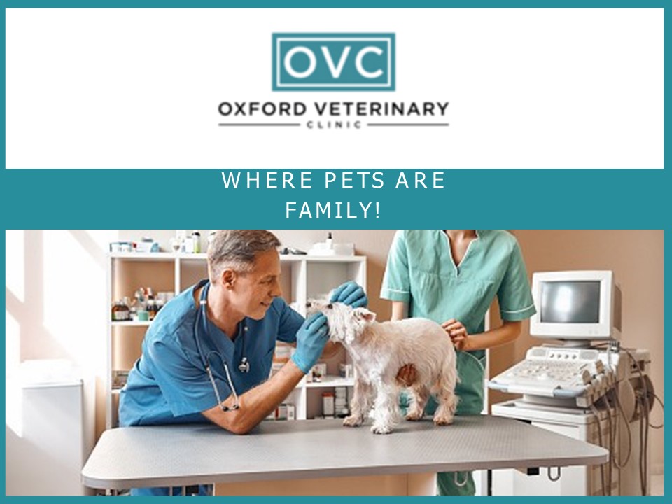 PPT Mississippi Veterinary PowerPoint presentation free to download