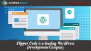 Searching For Professional WordPress Plugins Development?