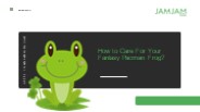 How to Care For Your Fantasy Pacman Frog?