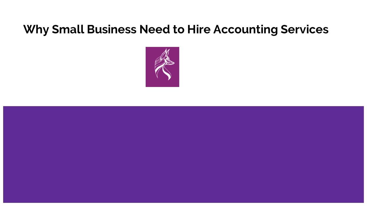 Why Small Business Need to Hire Accounting Services