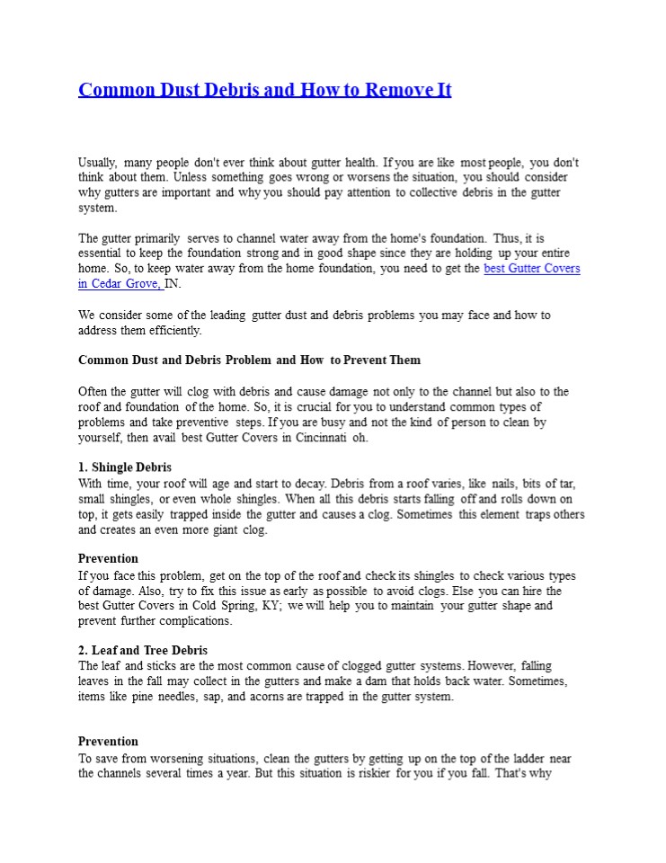 Common Dust Debris and How to Remove It (1)