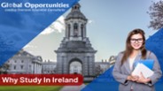 Why Do International Students Choose To Study In Ireland?
