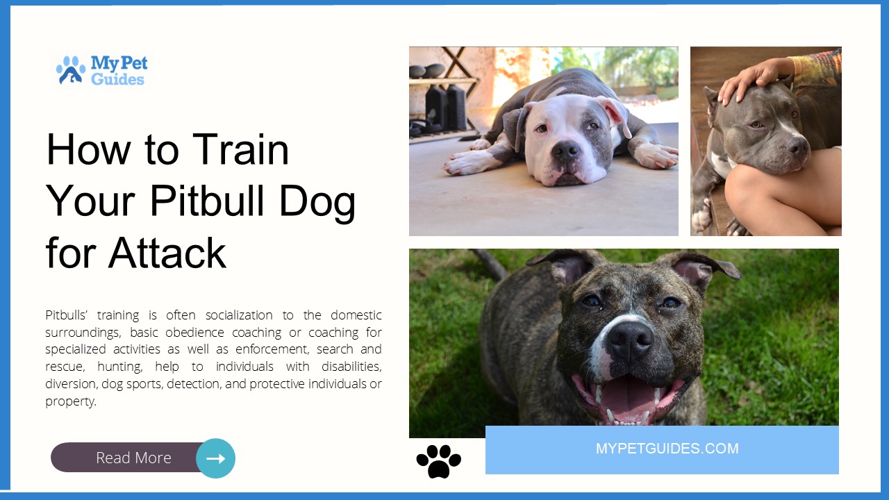 PPT How to Train Your Pitbull Dog for Attack PowerPoint presentation free to download id