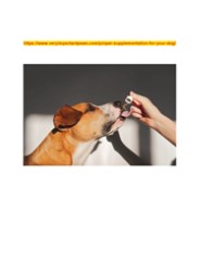 https://www.veryimportantpaws.com/proper-supplementation-for-your-dog/