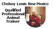 Chelsey Lewis New Mexico - Qualified Professional Animal Trainer